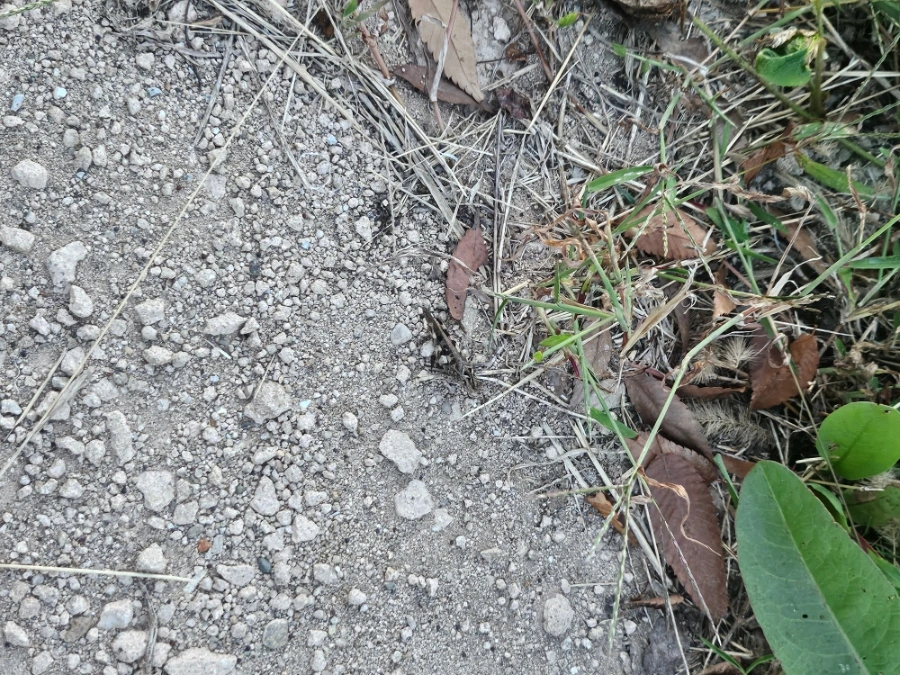 20241005%EF%BC%BF181240.jpg?type=w966