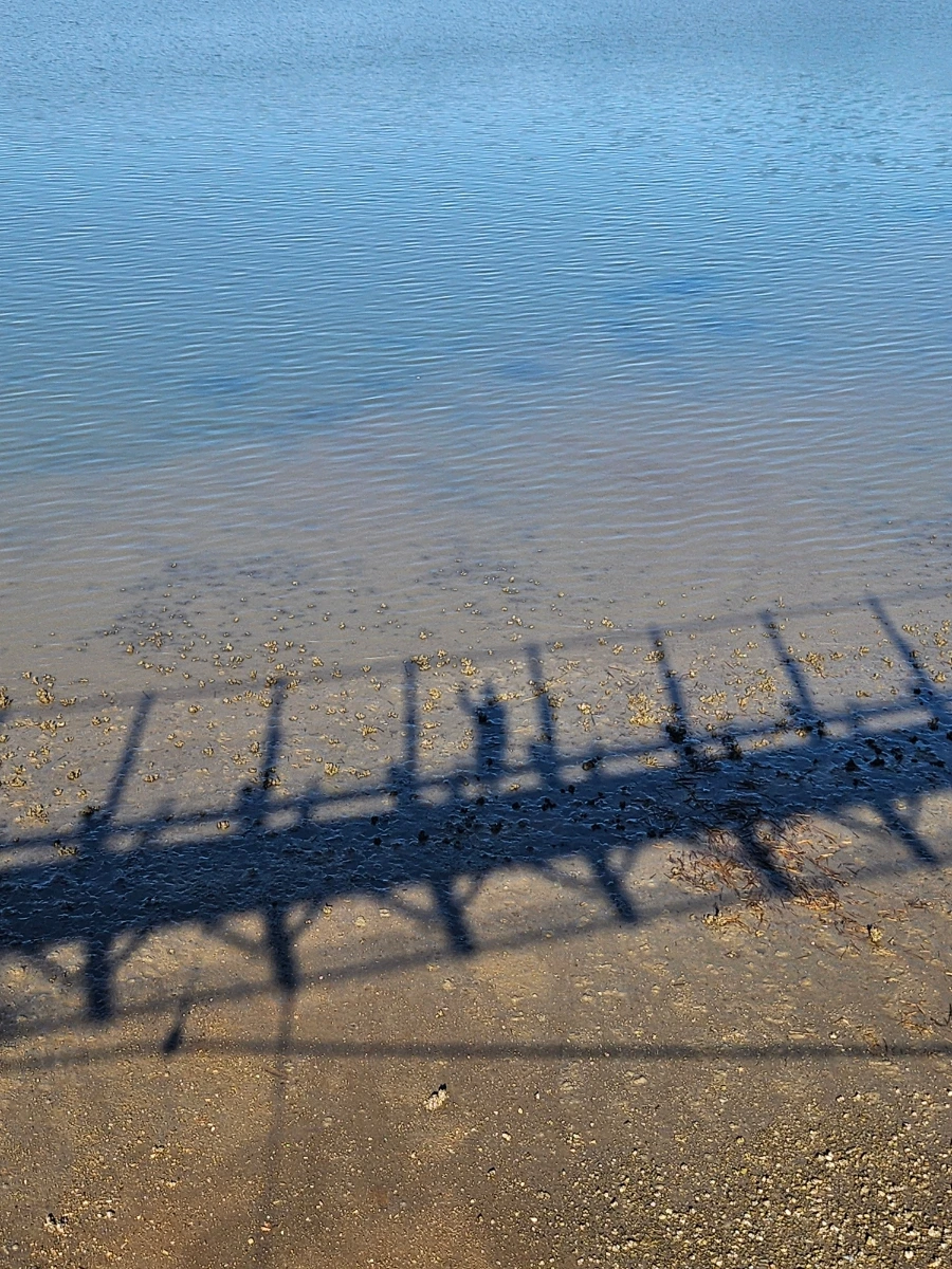 20241005%EF%BC%BF155529.jpg?type=w966