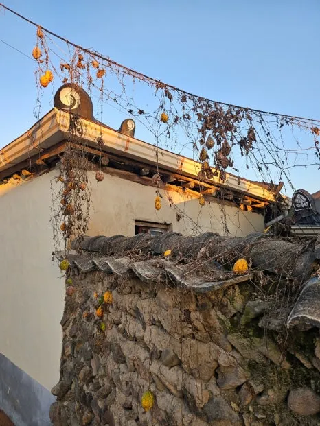 20241024%EF%BC%BF172804.jpg?type=w466