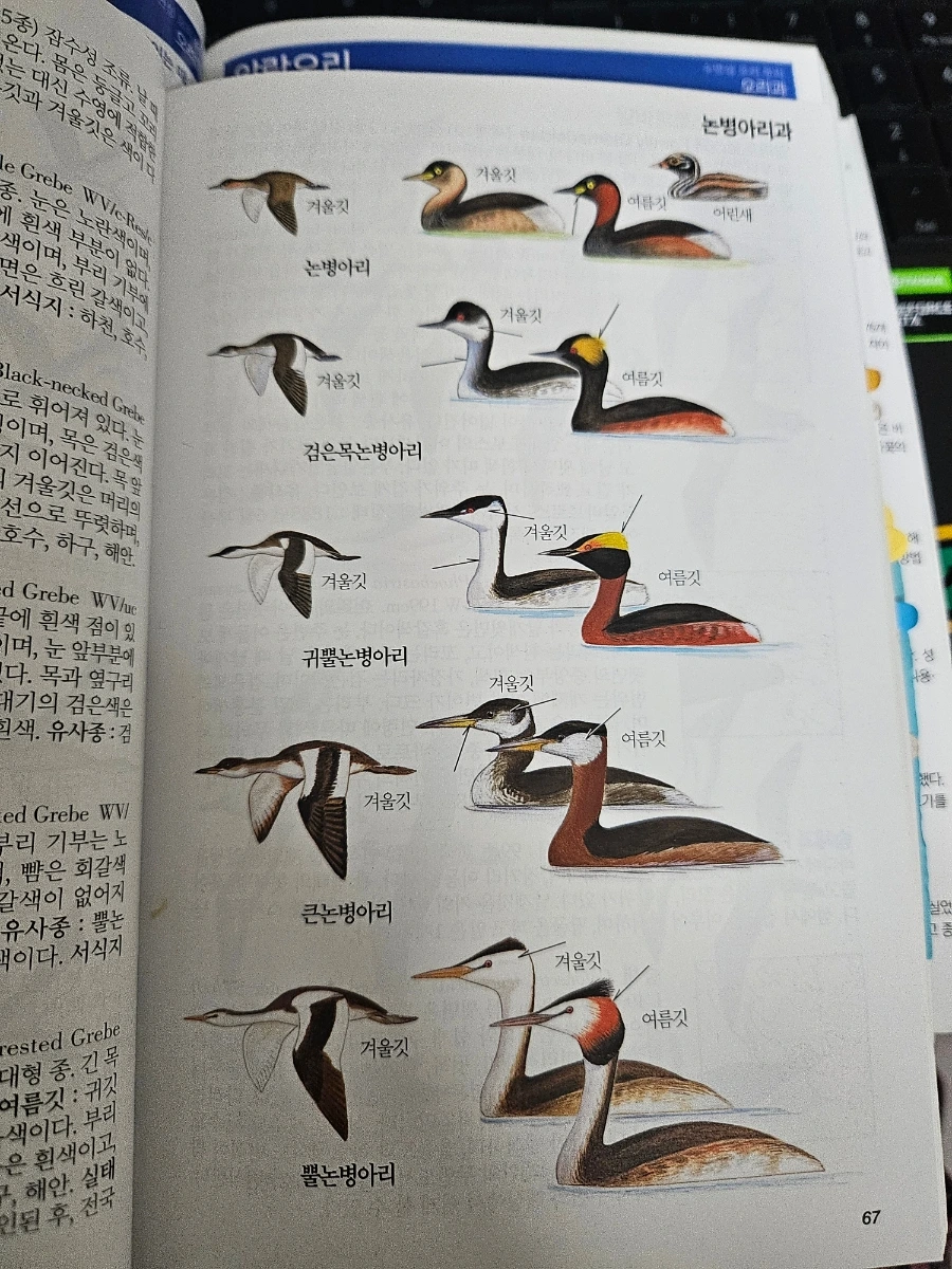 20241022%EF%BC%BF013623.jpg?type=w966