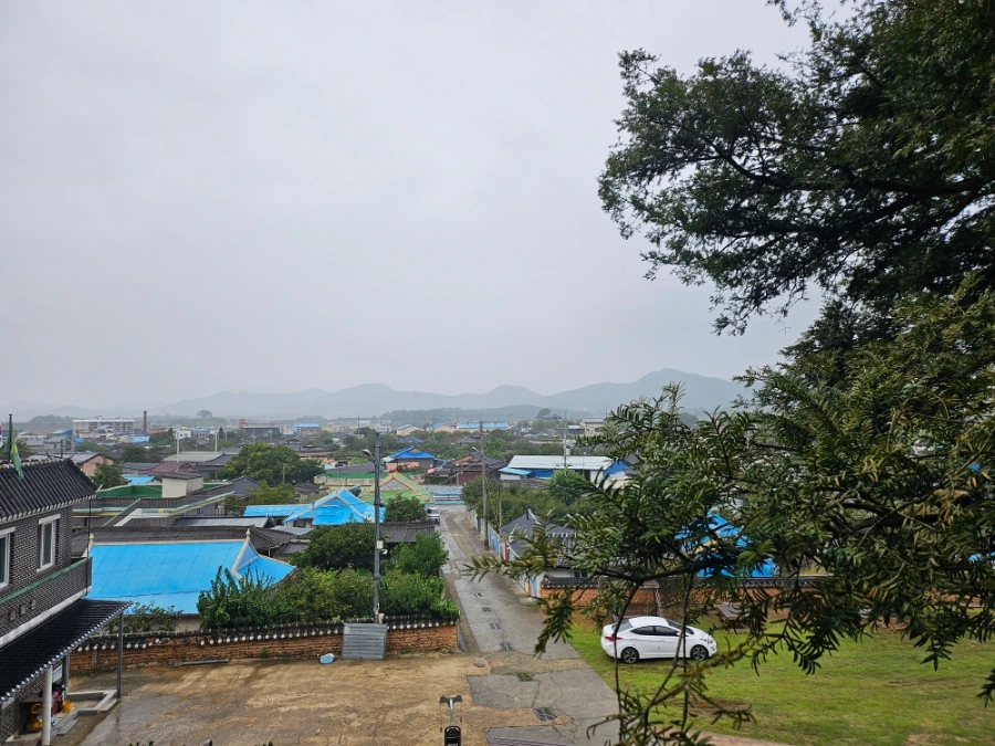 20241003%EF%BC%BF152019.jpg?type=w966