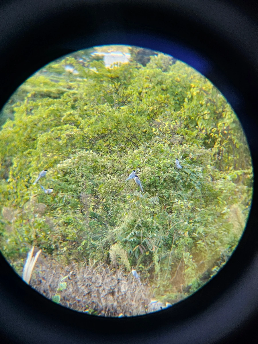 20241024%EF%BC%BF170240.jpg?type=w966