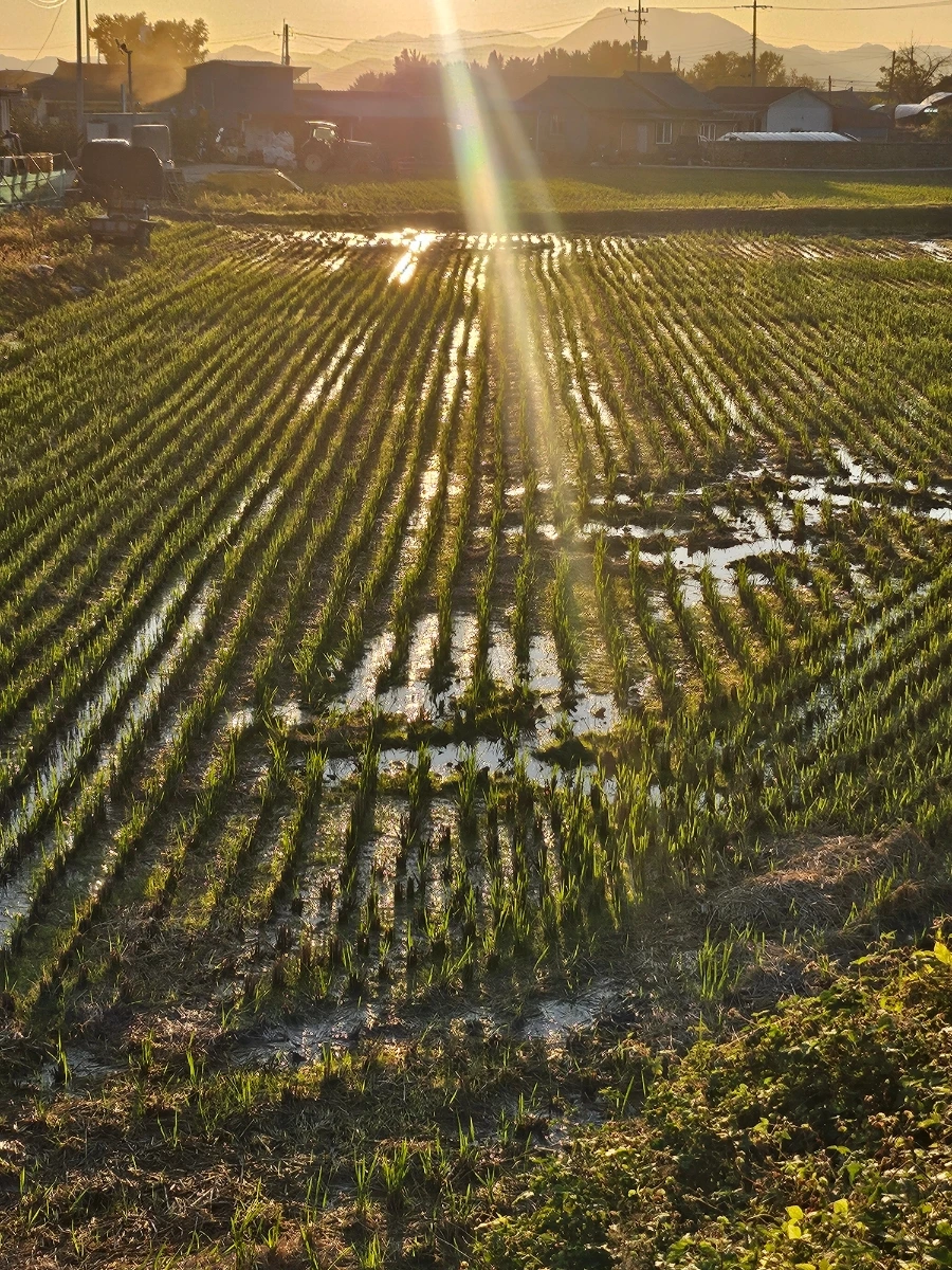 20241024%EF%BC%BF171713.jpg?type=w966