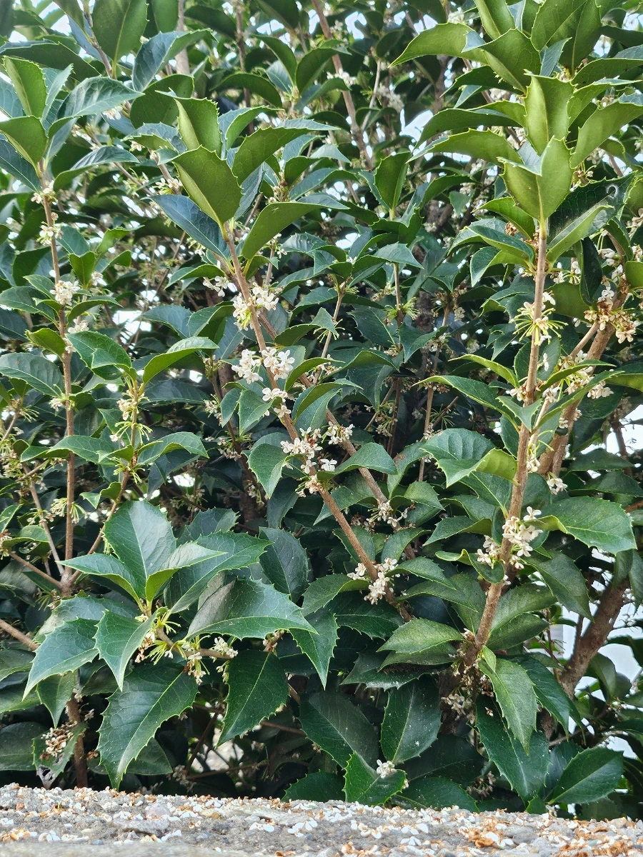 20241024%EF%BC%BF172526.jpg?type=w966