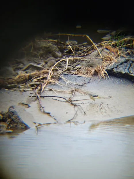 20241003%EF%BC%BF153721.jpg?type=w466