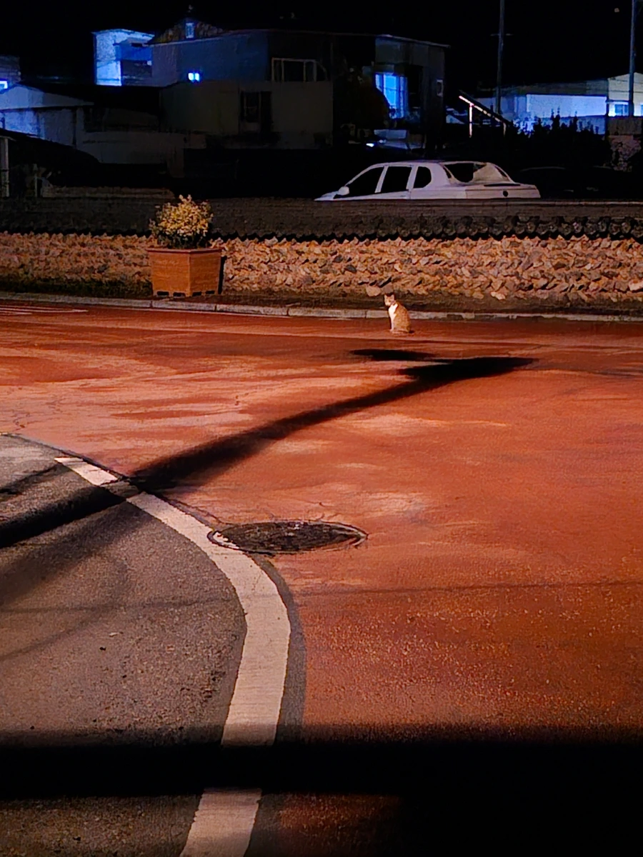 20241006%EF%BC%BF204100.jpg?type=w966