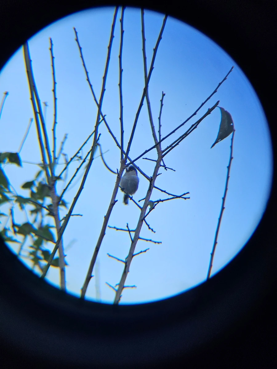 20241024%EF%BC%BF161433%EF%BC%880%EF%BC%89.jpg?type=w966