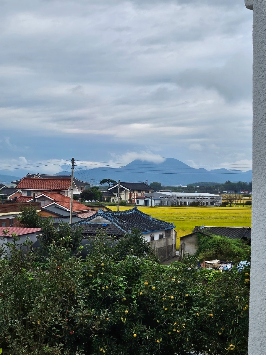 20241003%EF%BC%BF103458.jpg?type=w966