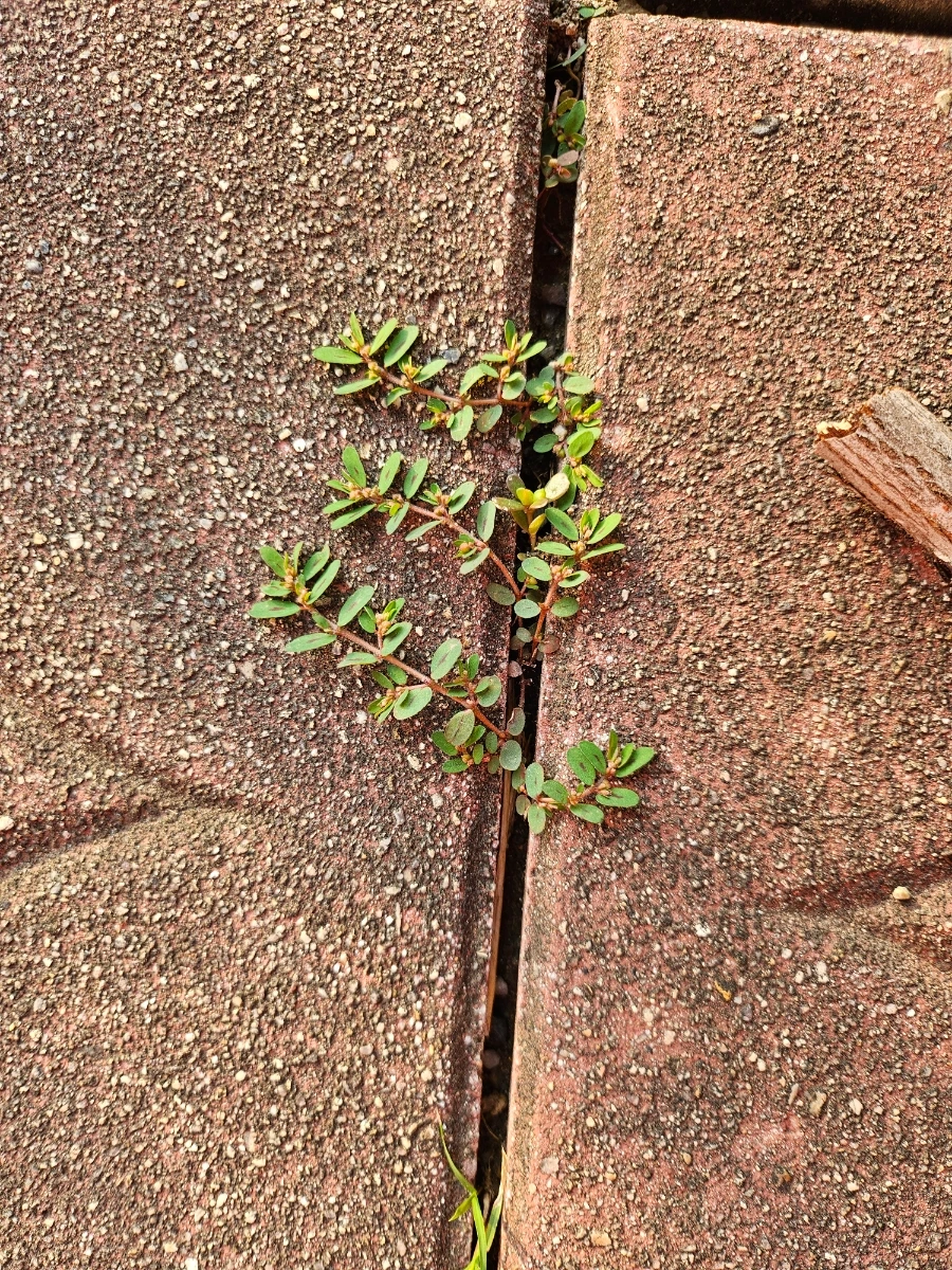 20241008%EF%BC%BF164412.jpg?type=w966