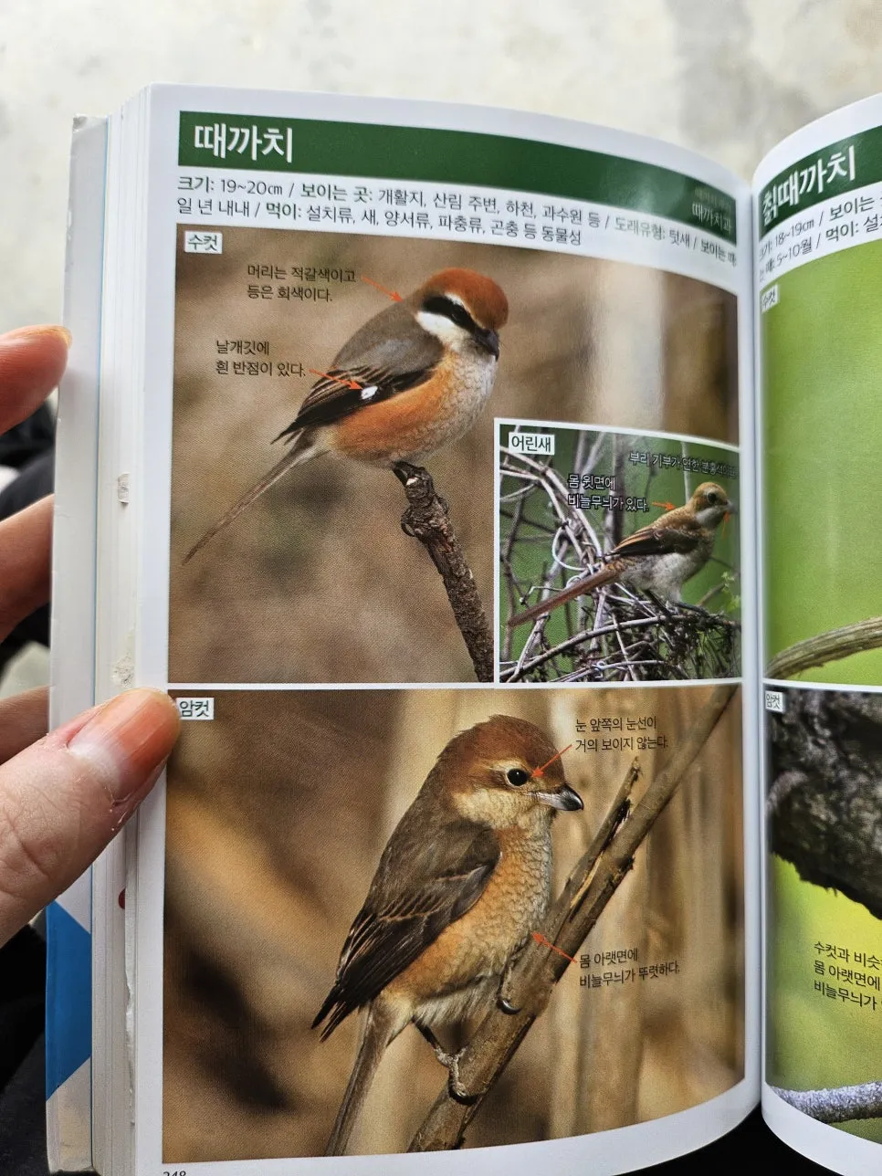 KakaoTalk_20241007_235545643.jpg?type=w966