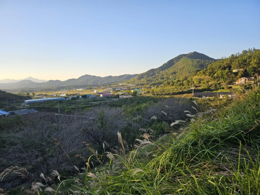 20241024%EF%BC%BF165817.jpg?type=w966