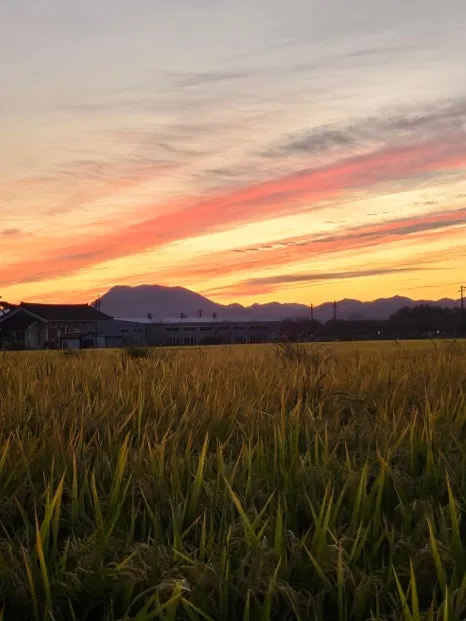 20241002%EF%BC%BF183156.jpg?type=w466