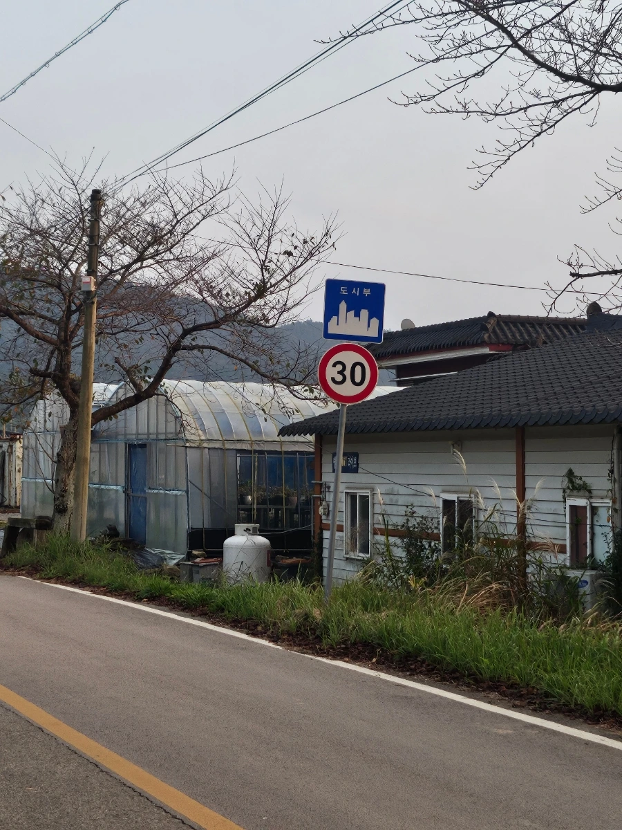 20241008%EF%BC%BF175402.jpg?type=w966