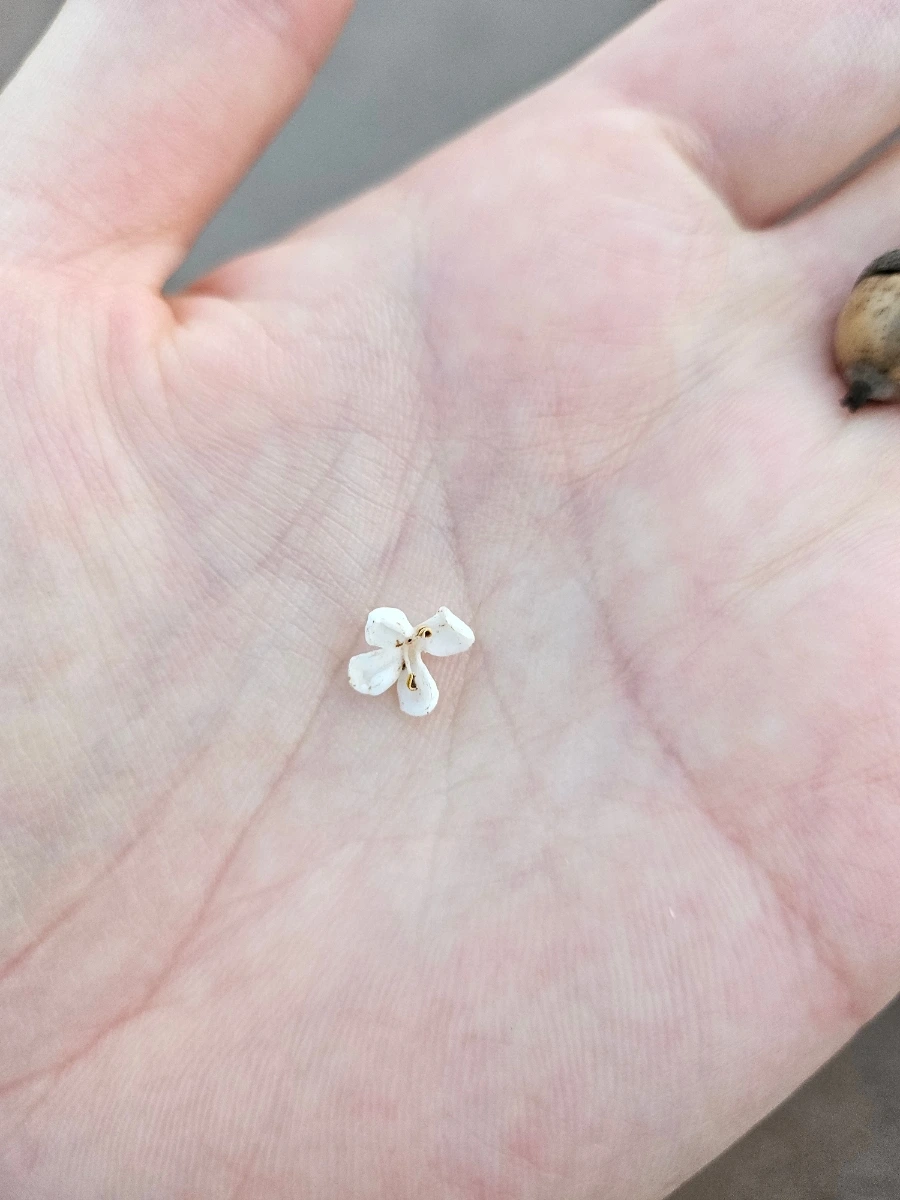 20241024%EF%BC%BF172550.jpg?type=w966