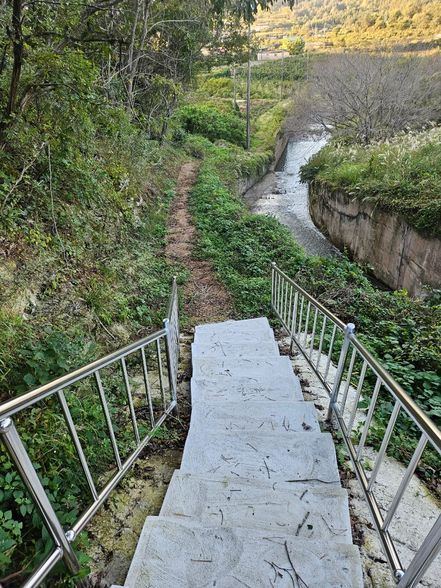 20241024%EF%BC%BF165908.jpg?type=w966