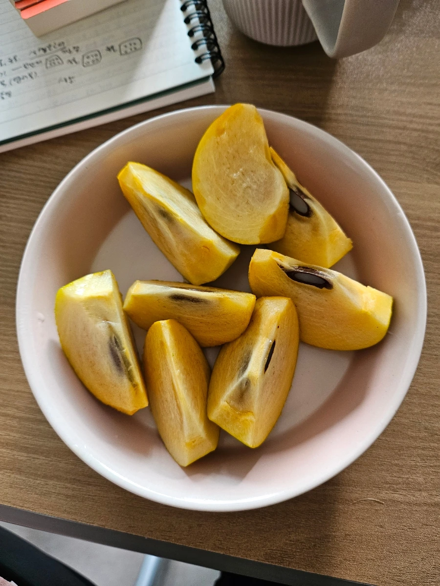 20241008%EF%BC%BF150833.jpg?type=w966