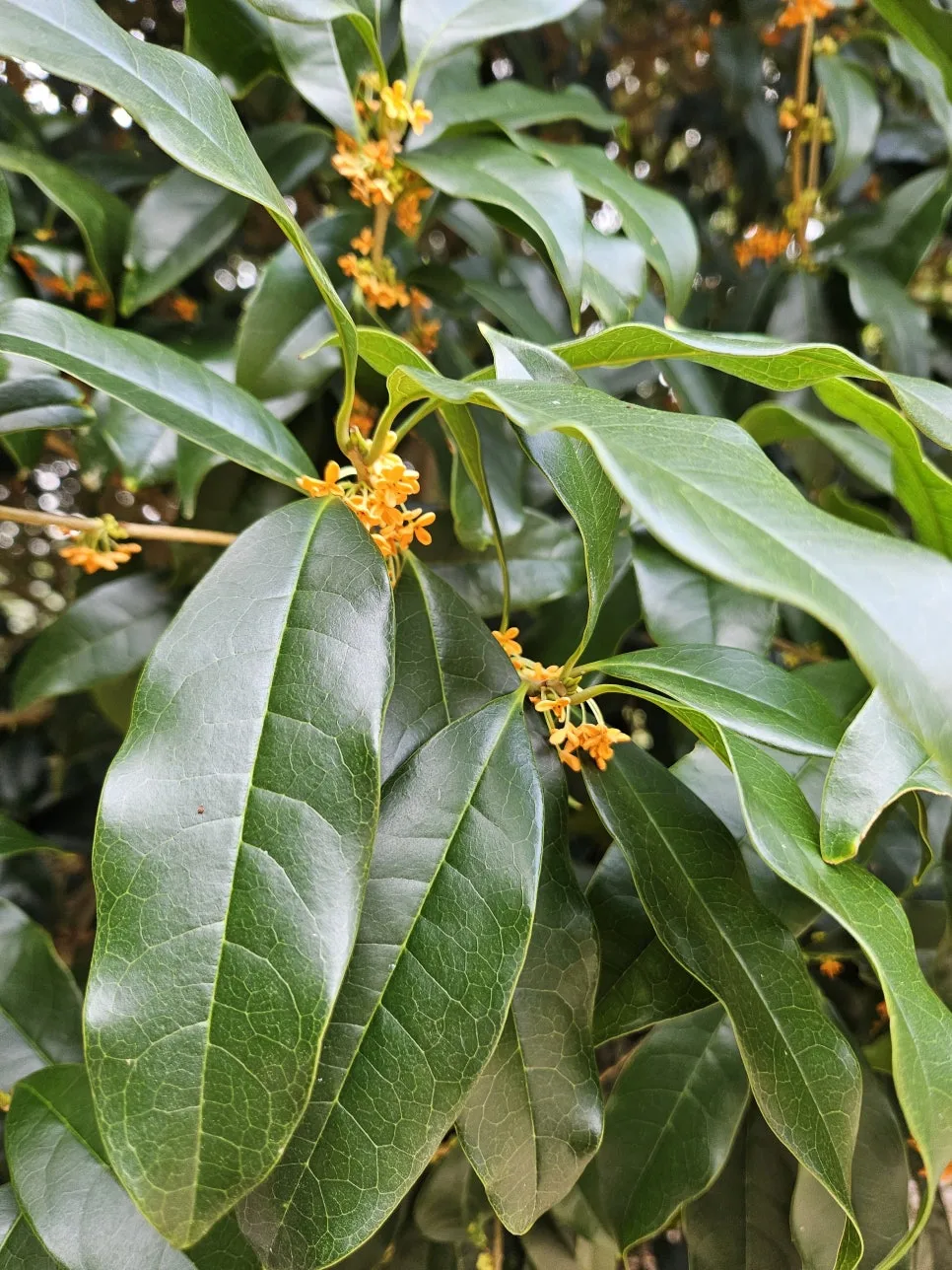 KakaoTalk_20241010_195558212.jpg?type=w966