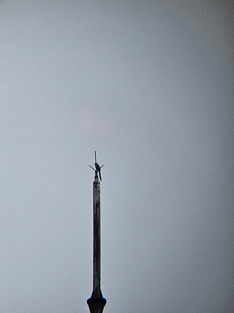 20241007%EF%BC%BF123921.jpg?type=w966