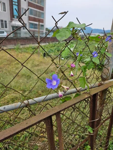 20241007%EF%BC%BF121951.jpg?type=w466