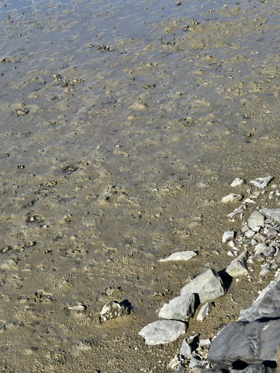 20241005%EF%BC%BF151854.jpg?type=w966