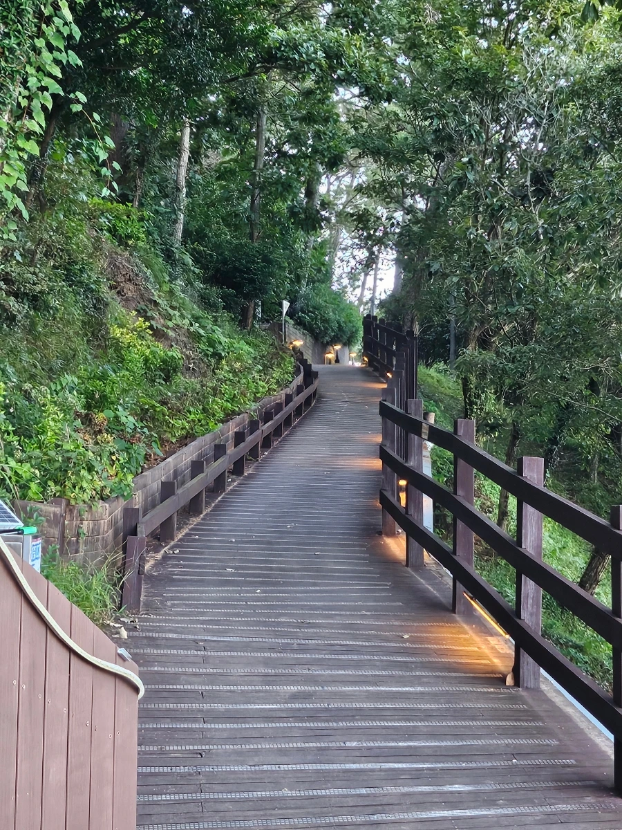 20241005%EF%BC%BF164737.jpg?type=w966