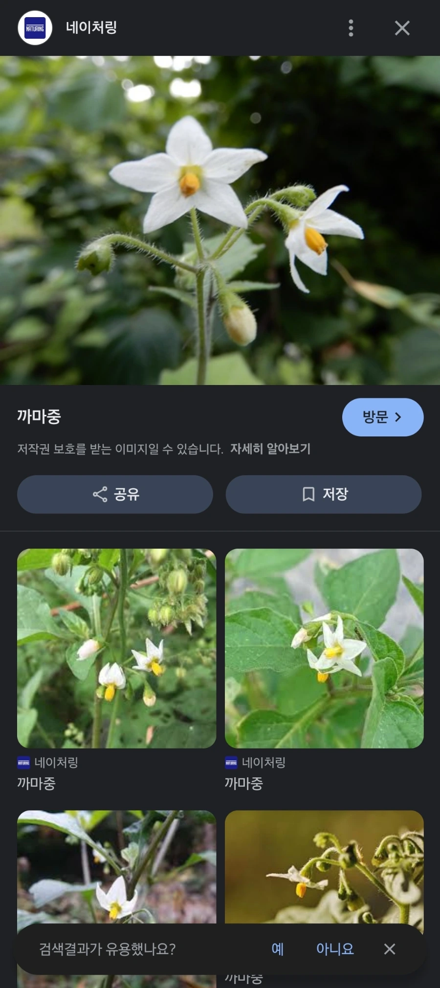 Screenshot%EF%BC%BF20241008%EF%BC%BF005218%EF%BC%BFGoogle.jpg?type=w966