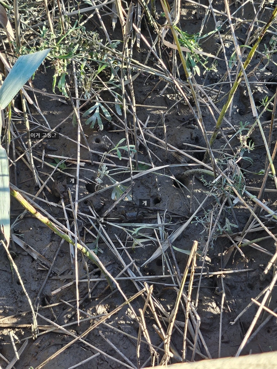 SE-70f6beda-8253-11ef-8068-8f052f24563b.jpg?type=w966