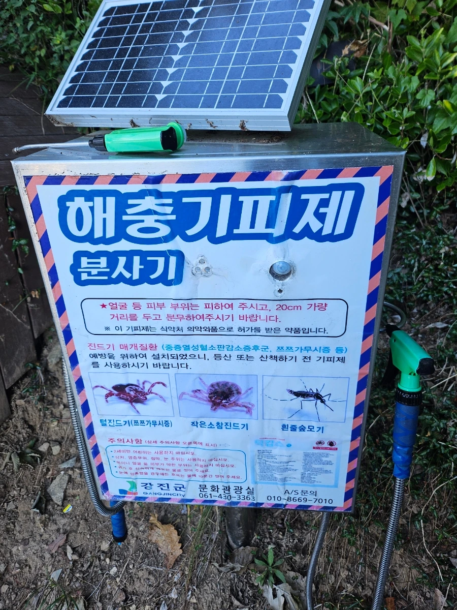 20241005%EF%BC%BF153628.jpg?type=w966