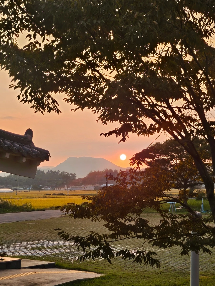 20241008%EF%BC%BF175021.jpg?type=w966