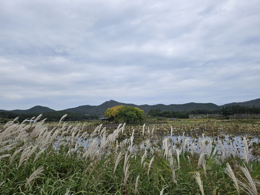 20241021%EF%BC%BF131347.jpg?type=w966