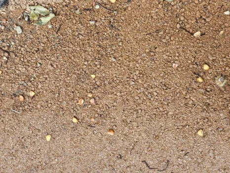 20241003%EF%BC%BF145455.jpg?type=w466