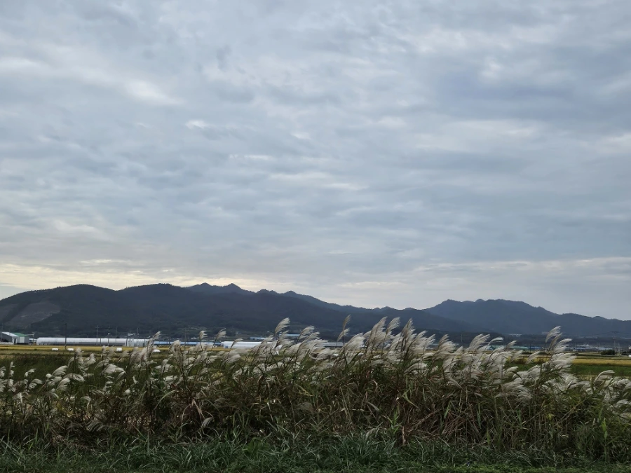 20241021%EF%BC%BF141843.jpg?type=w966