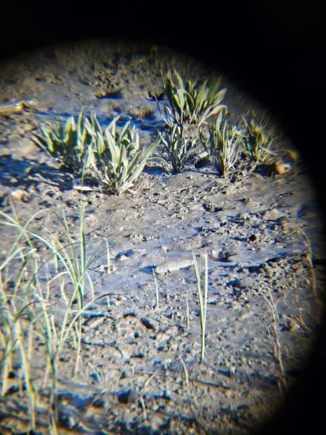 20241004%EF%BC%BF163207.jpg?type=w466