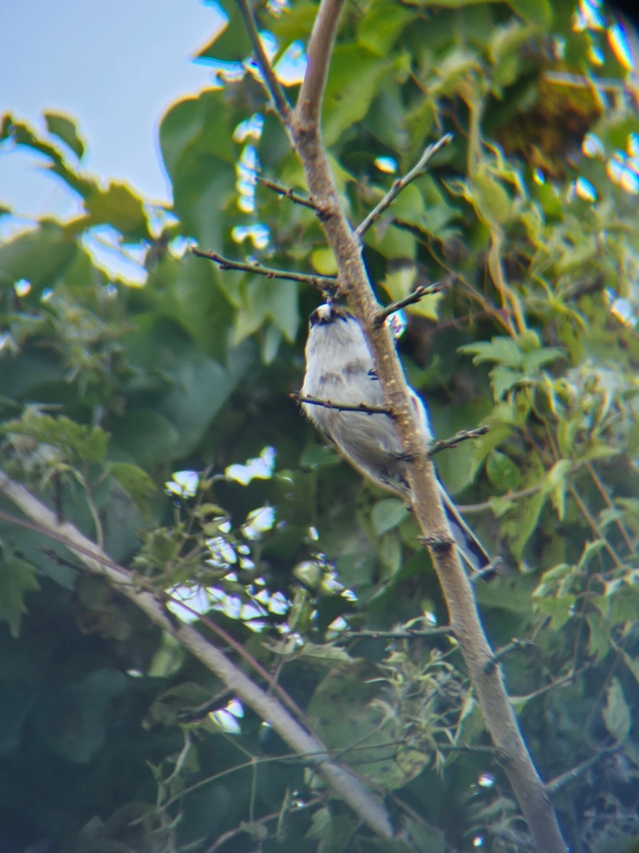 20241024%EF%BC%BF163032.jpg?type=w966