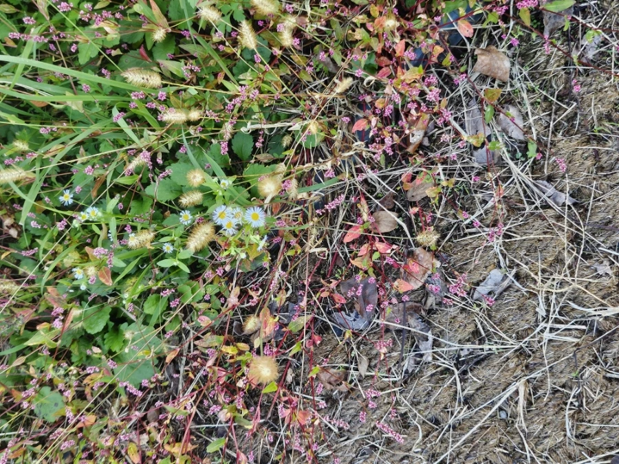 20241024%EF%BC%BF163618.jpg?type=w966