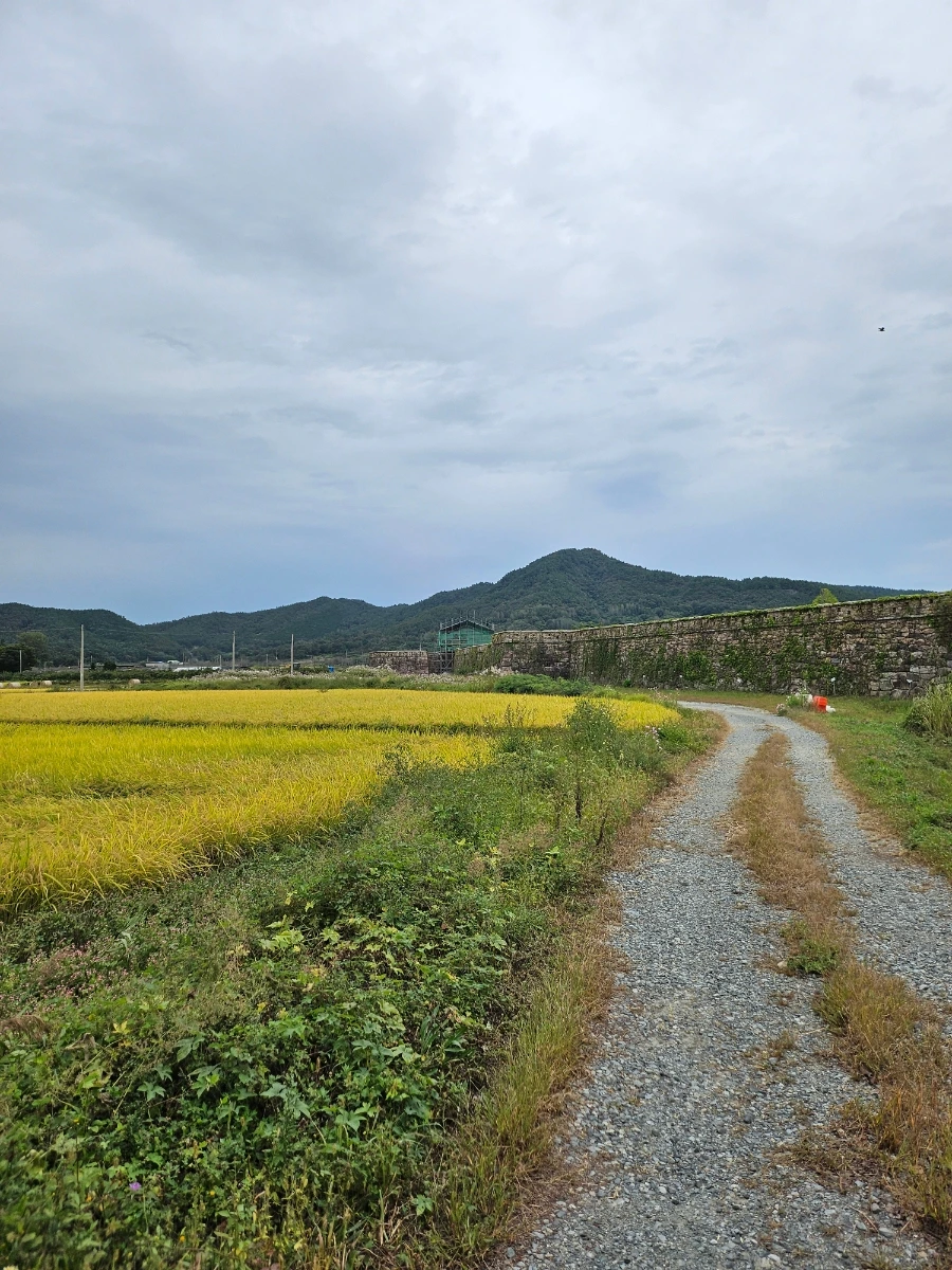 20241006%EF%BC%BF123122.jpg?type=w966