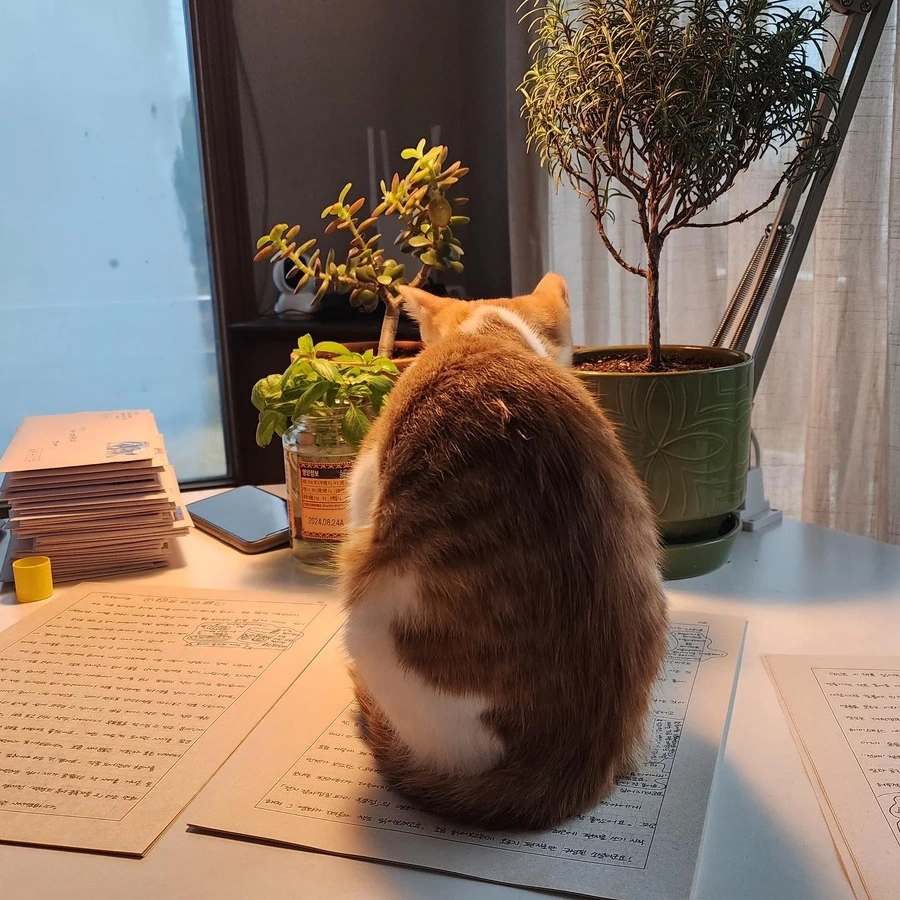 FE2DC970-37BA-45DC-A1E1-9C97302814DC.jpg?type=w966