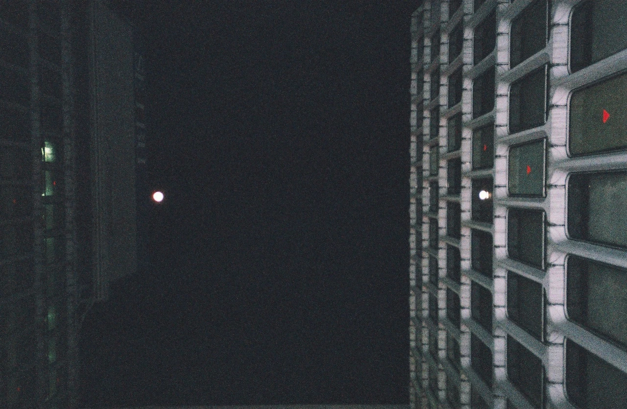 거울 보는 달을 찍었다(2019.1.-2. (Yashica T4, superia 400)).JPG