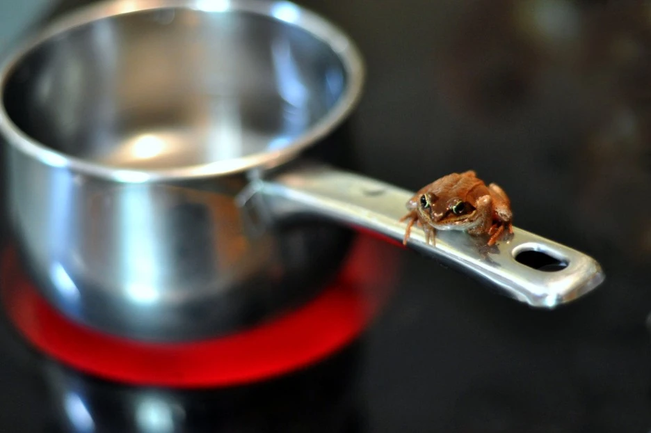 Frog_and_saucepan.jpg?type=w1