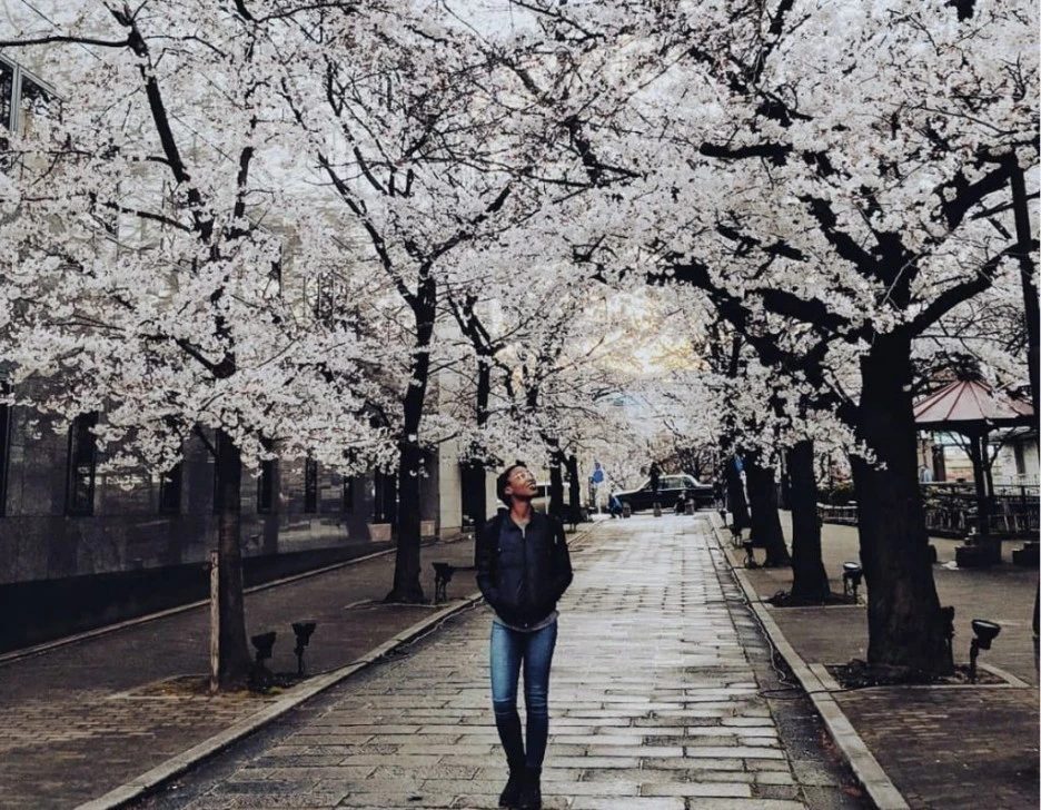 blossoms-1024.jpg?type=w1