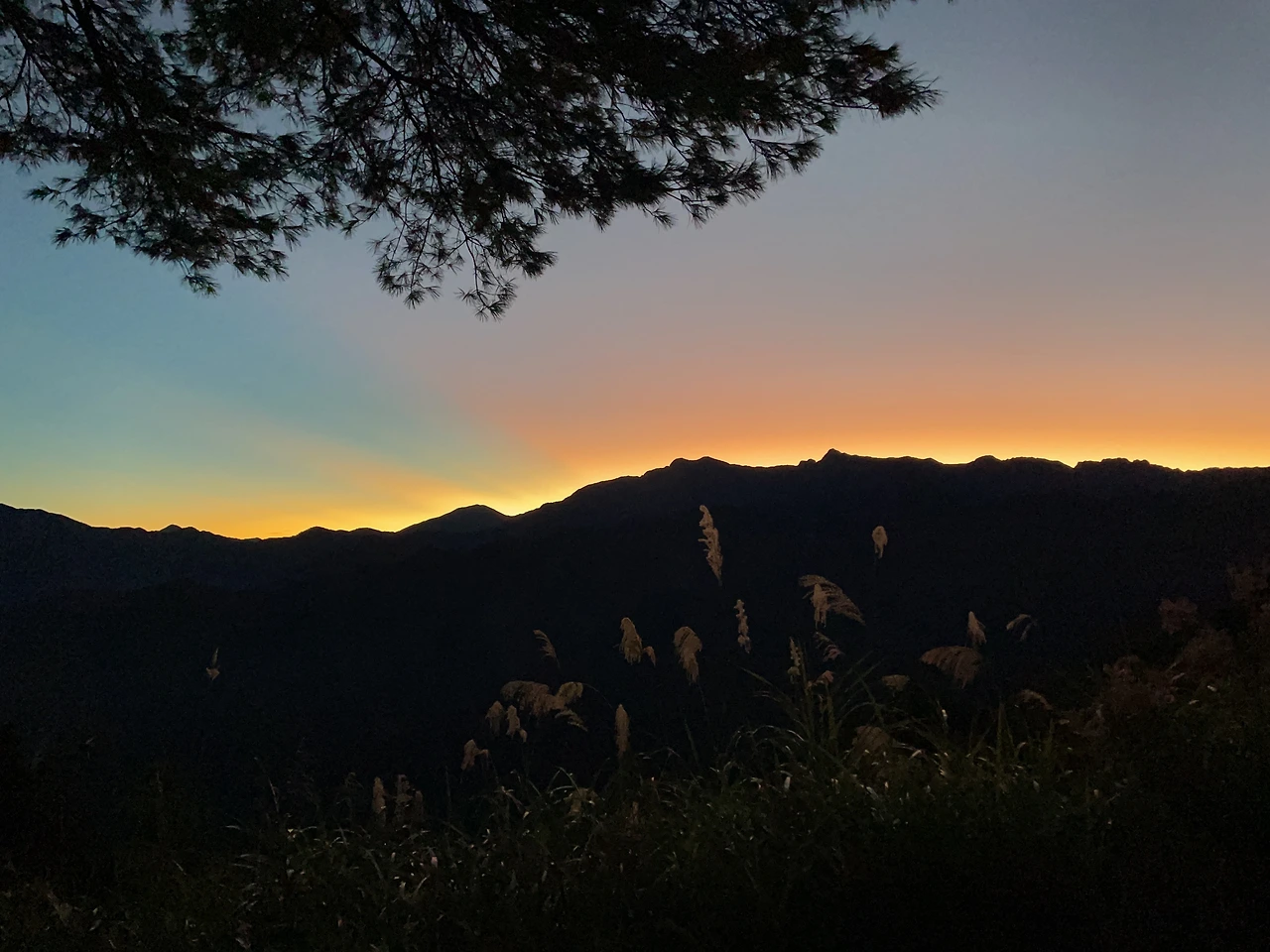 genie_2022_Dec_03_469345 2.JPEG