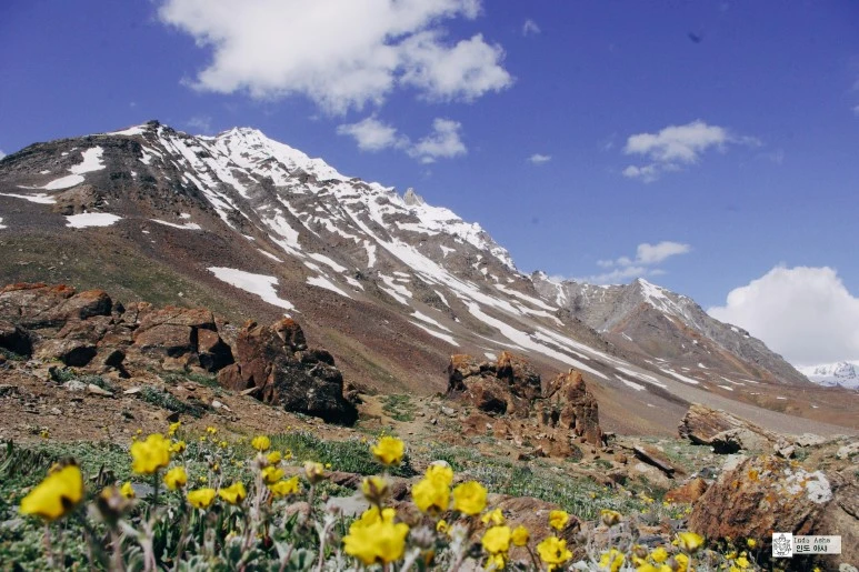 image_3409842691481076841408.jpg?type=w773