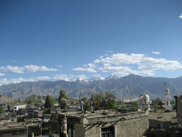 IMG_0012.JPG?type=w773