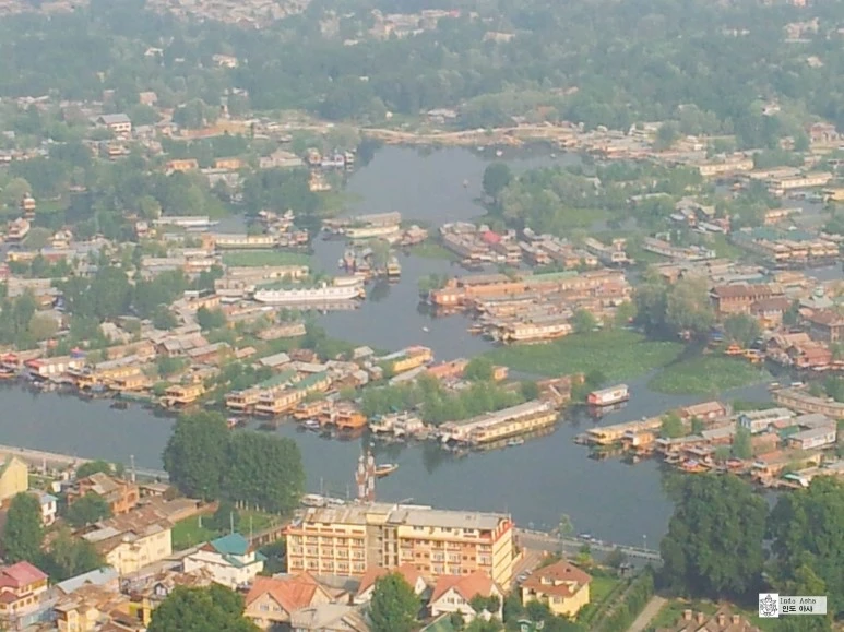 image_1243405971481082630549.jpg?type=w773