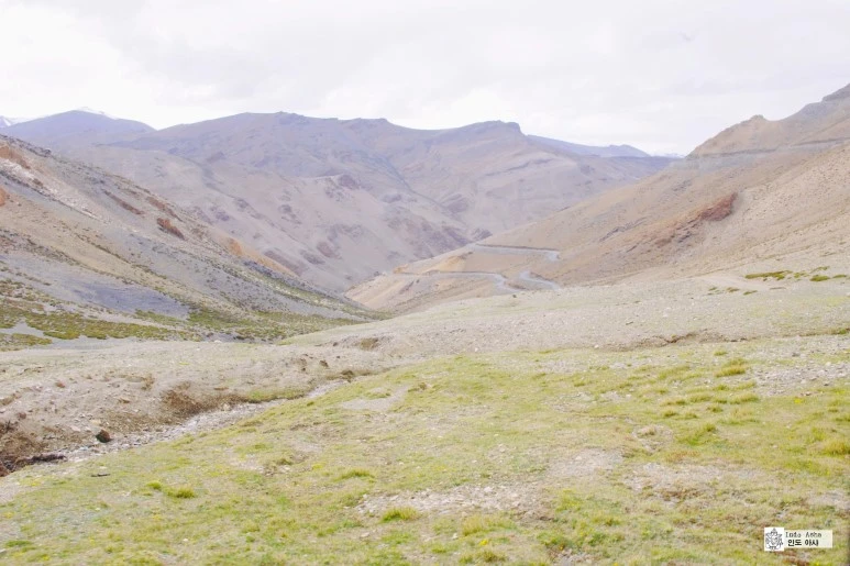 image_5275421121481078163865.jpg?type=w773