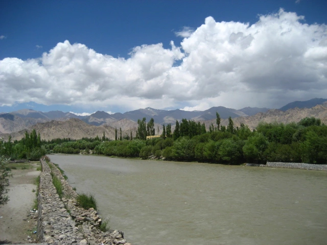 IMG_0015.JPG?type=w773