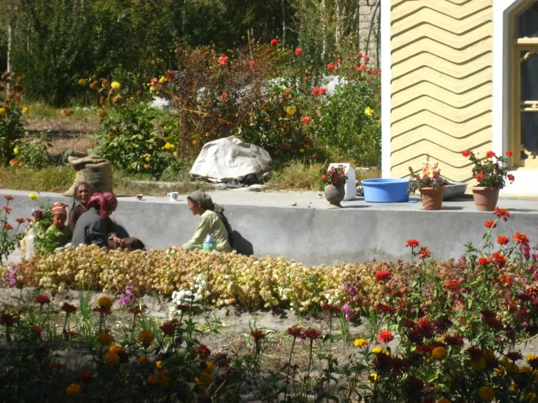 IMG_3823.JPG?type=w773