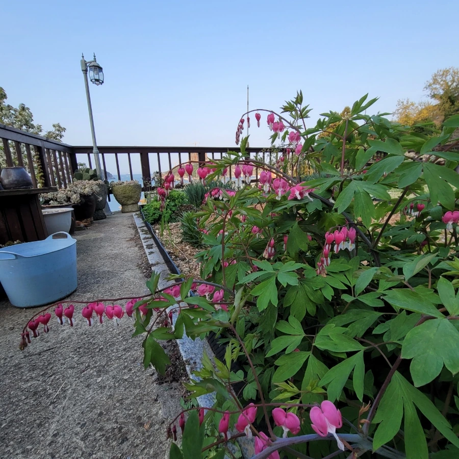 1713080591193.jpg?type=w966