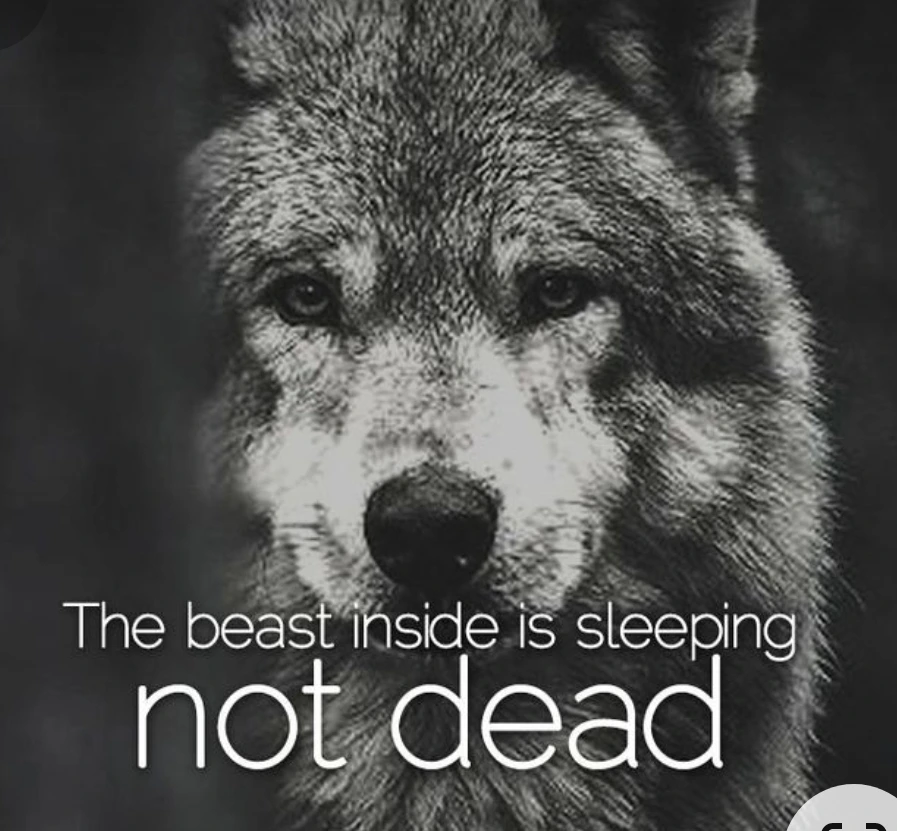 SmartSelect%EF%BC%BF20240320%EF%BC%BF203543%EF%BC%BFPinterest.jpg?type=w1