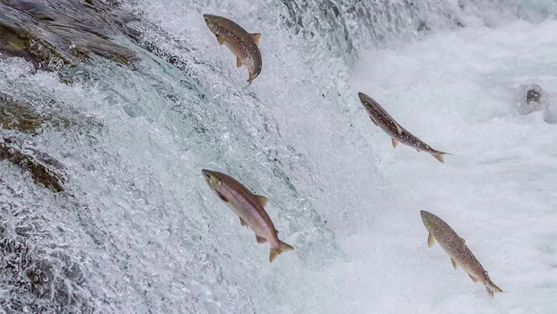 image_5099832691495764246500.jpg?type=w1200